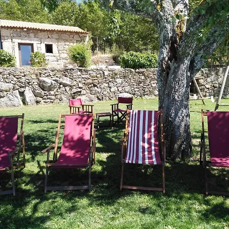 Amazing Villa With Pool In Douro