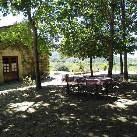 Amazing Villa With Pool In Douro Armamar