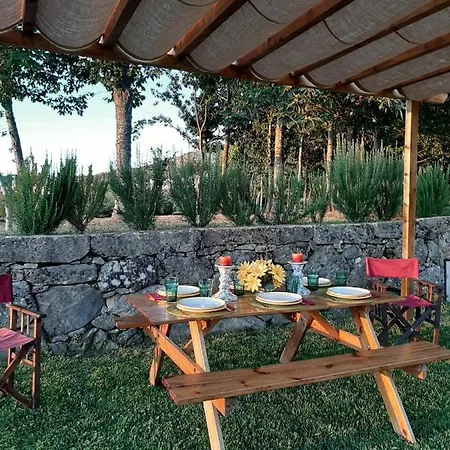 Amazing Villa With Pool In Douro Armamar