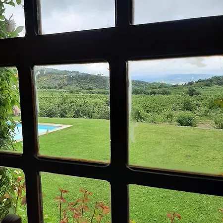 Amazing Villa With Pool In Douro Prázdninový dům *